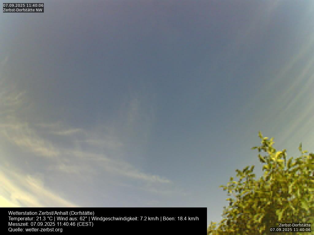 Webcam Bild